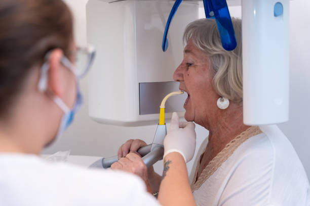 Best Emergency X-Rays and Diagnostics in Lorain, OH