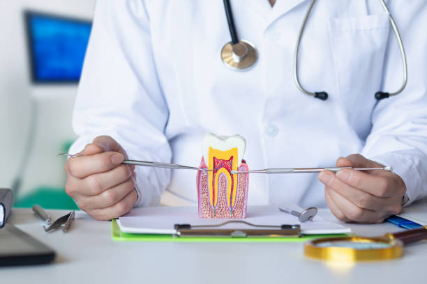 Best Emergency Root Canal Therapy in Lorain, OH